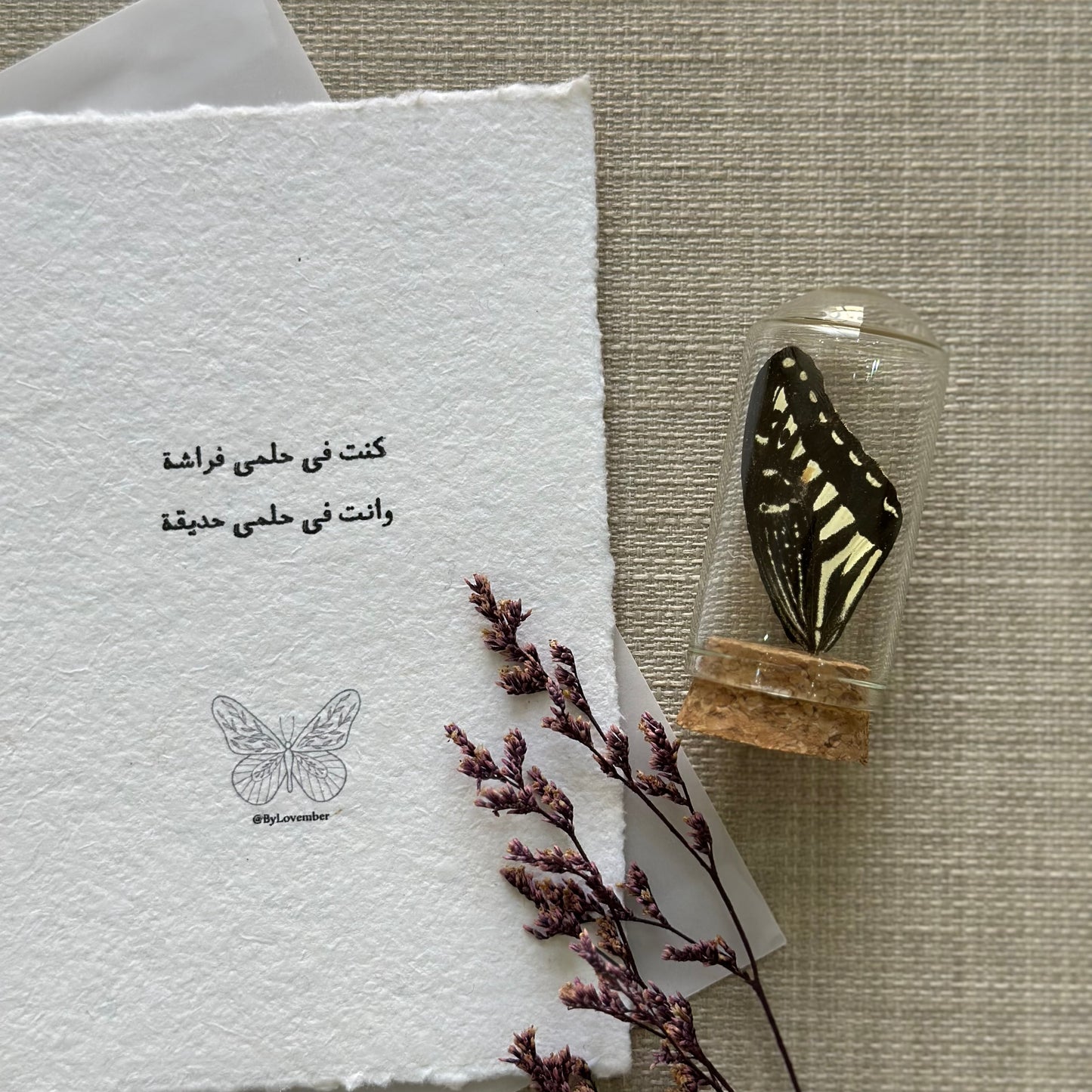 Butterfly Wing + Cotton Message Card